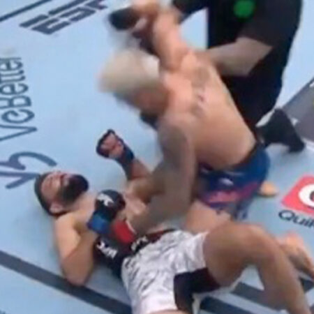 UFC Fighter Suffers Horrific Knockout