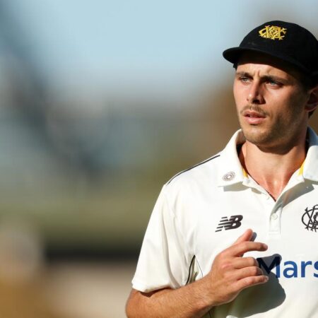 Morris to Play Consecutive Shield Games as WA Eyes Final
