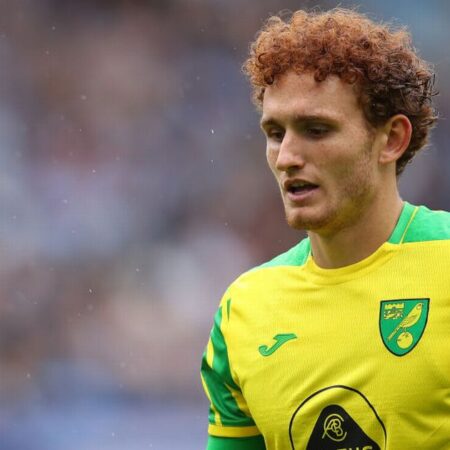 Josh Sargent’s Impressive Form for Norwich City